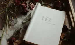 Why Poetry Still Matters — and How to Find Yours | National Poetry Month 2026