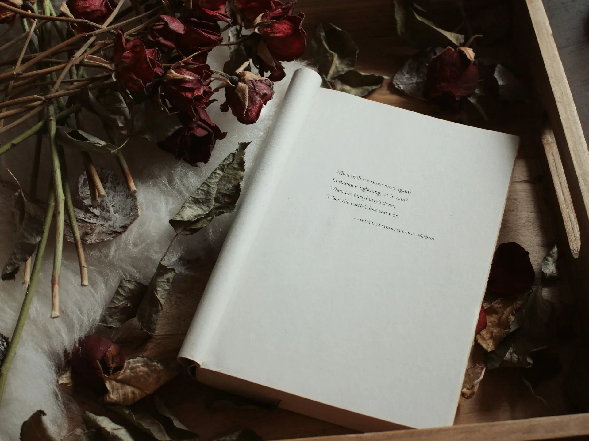 Why Poetry Still Matters — and How to Find Yours | National Poetry Month 2026